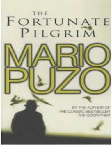 The Fortunate Pilgrim