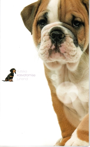 Kutsika kasvatamise juhend