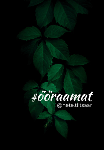 #ööraamat