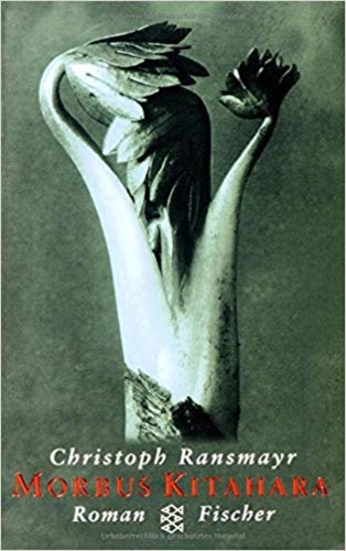 Morbus Kitahara : Roman