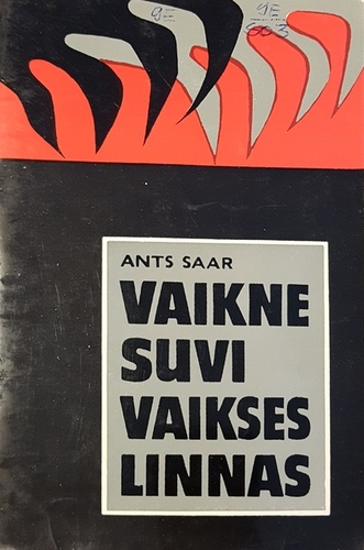 Vaikne suvi vaikses linnas