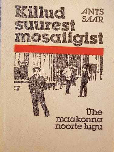 Killud suurest mosaiigist : ühe maakonna noorte lugu