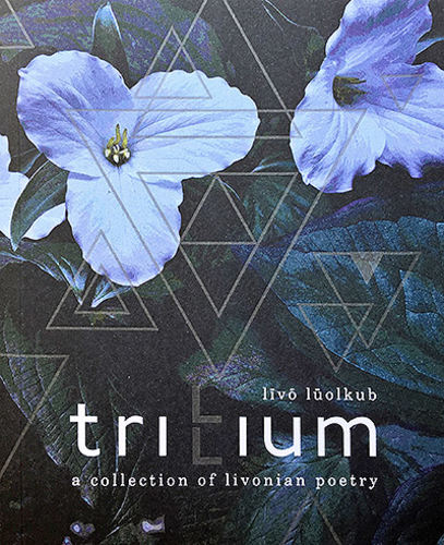 Trilium / Trillium