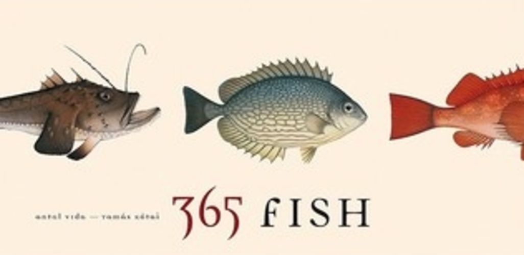 365 Fish