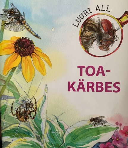 Toakärbes