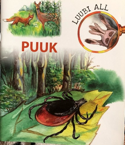 Puuk