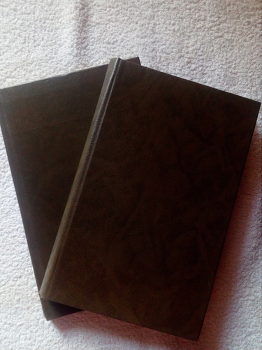 Kaks raamatut sarjast " Eesti romaanivara"