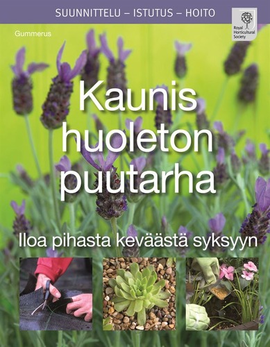Kaunis huoleton puutarha
