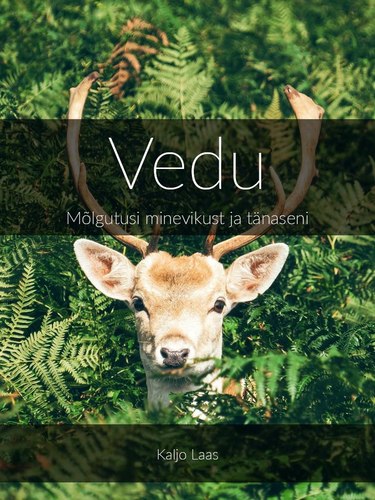 Vedu : mõlgutusi minevikust ja tänaseni