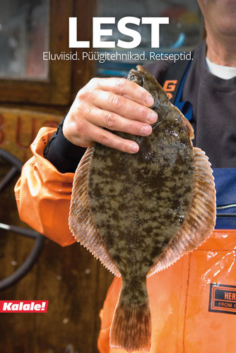 LEST. ELUVIISID. PÜÜGITEHNIKAD. RETSEPTID.