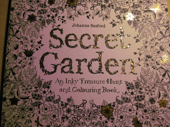 Secret Garden. An Inky Treasure Hunt and Colouring Book