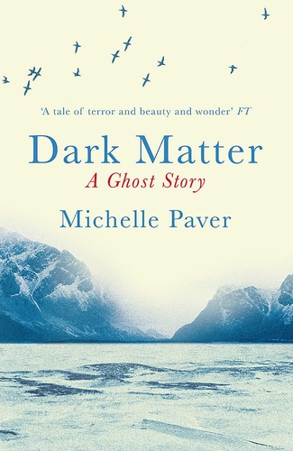 Dark Matter. A Ghost Story