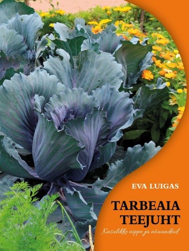 Tarbeaia teejuht. Kasulikke nippe ja nõuandeid