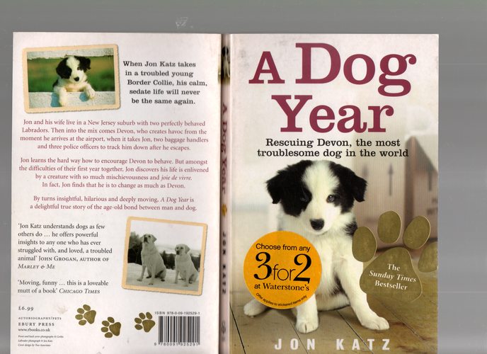 A Dog Year