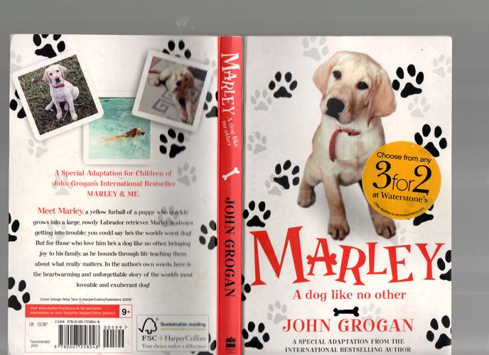 Marley. A dog like no other