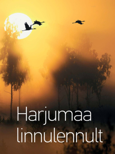 Harjumaa linnulennult