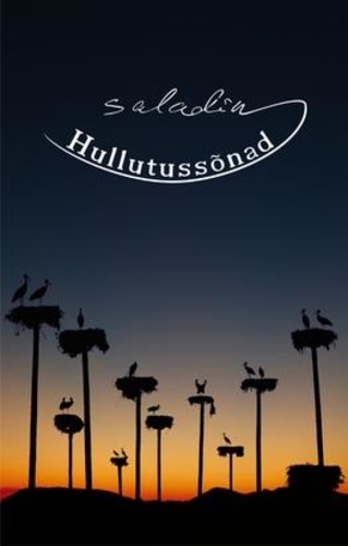 Hullutussõnad