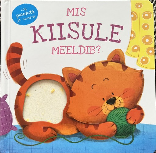 Mis kiisule meeldib?