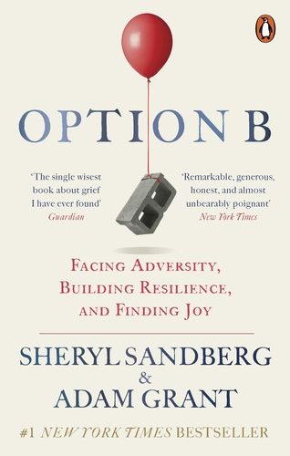 Option B. Facing adversity, building resilience and finding joy.