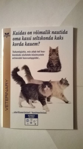 Kuidas on võimalik nautida oma kassi seltskonda kaks korda kauem?