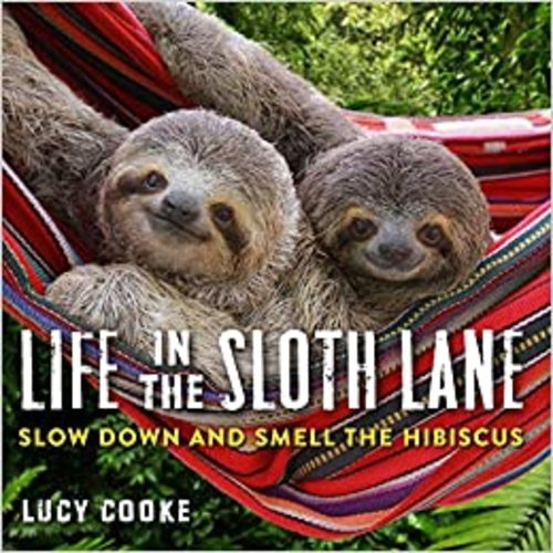Life in the Sloth Lane