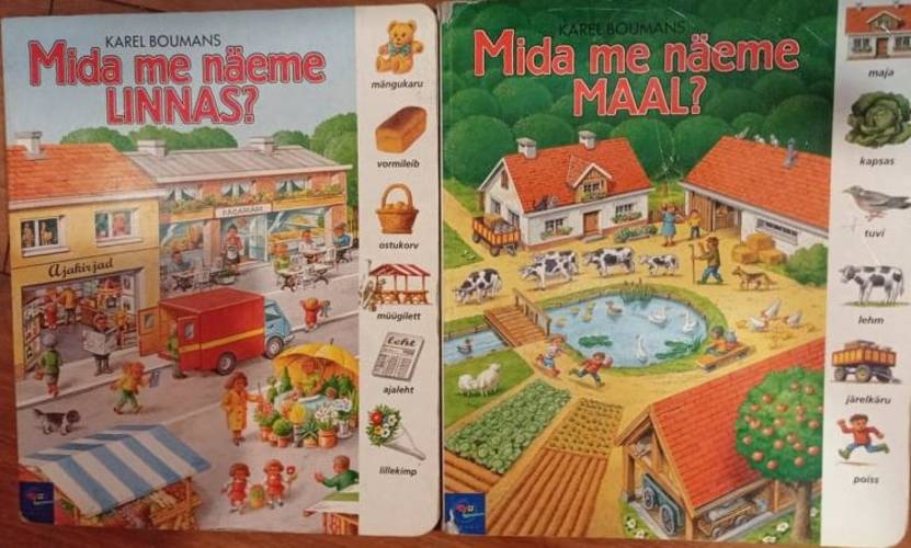 Mida me näeme linnas? Mida me näeme maal?