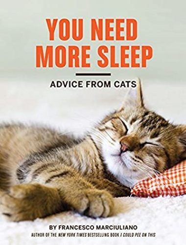 You Need More Sleep. Advice from Cats
