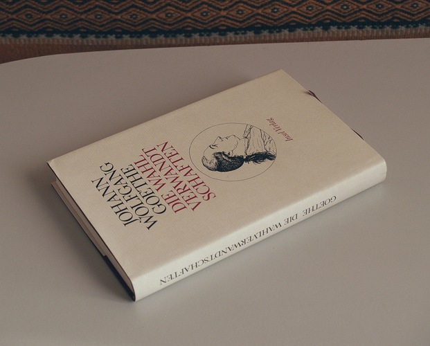 Die Wahlverwandtschaften