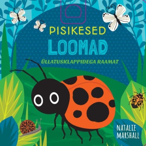 Pisikesed loomad (klappidega raamat)