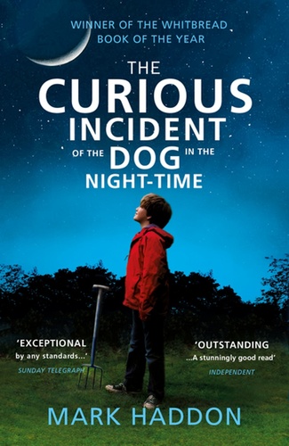 The Curious Incident of the Dog in the Night-Time