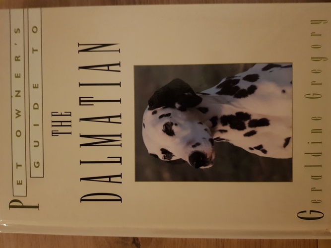 Pet owners guide to the Dalmatian