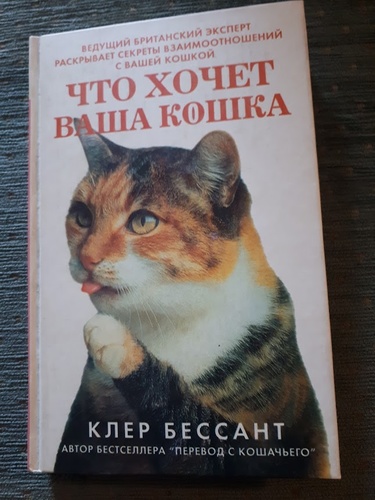 Что хочет ваша кошка
