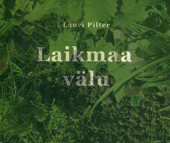 Laikmaa välu
