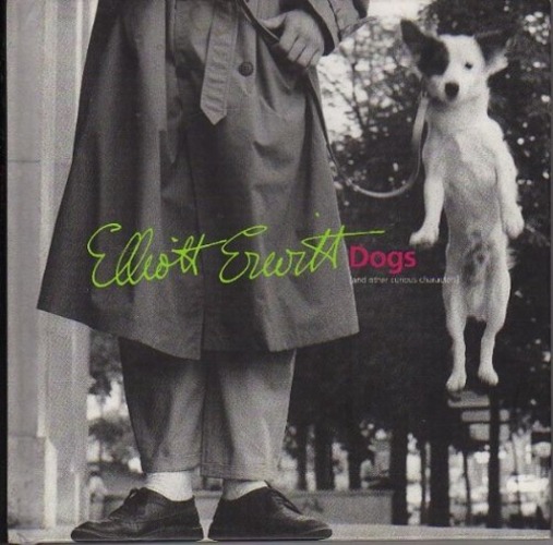 Dogs and Other Curious Characters