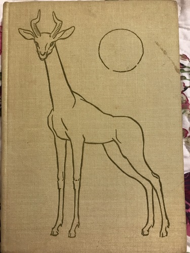 Löwen waren unsere nachbarn