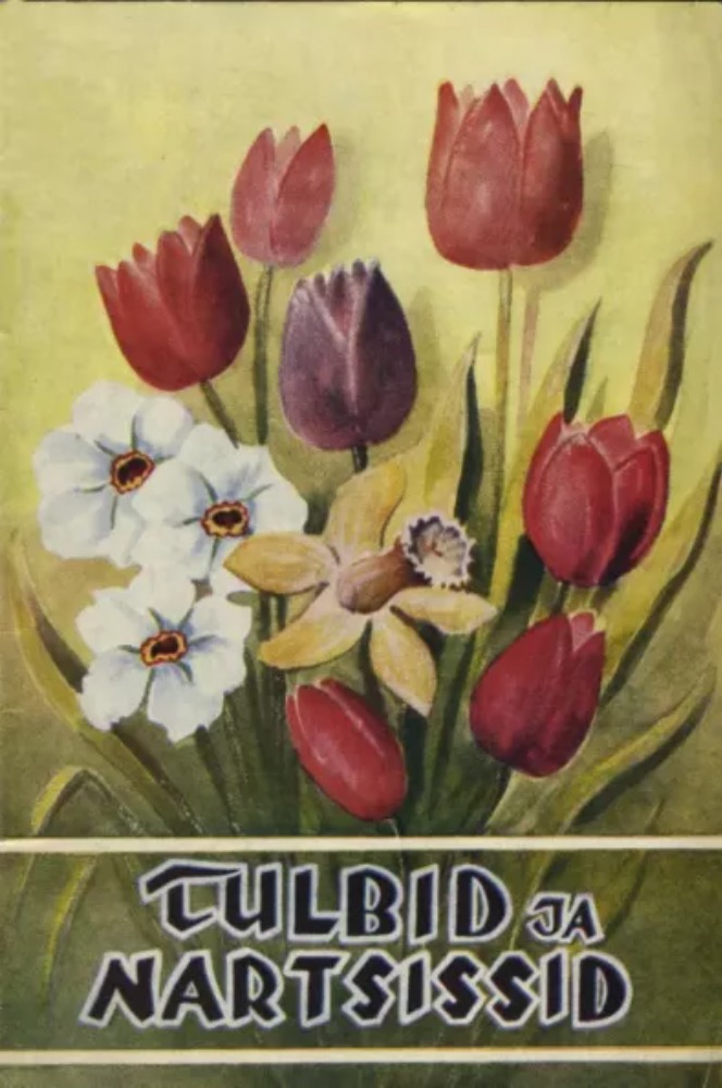 Tulbid ja nartsissid