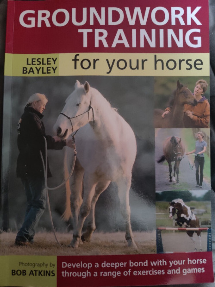 Groundwork Training for Your Horse