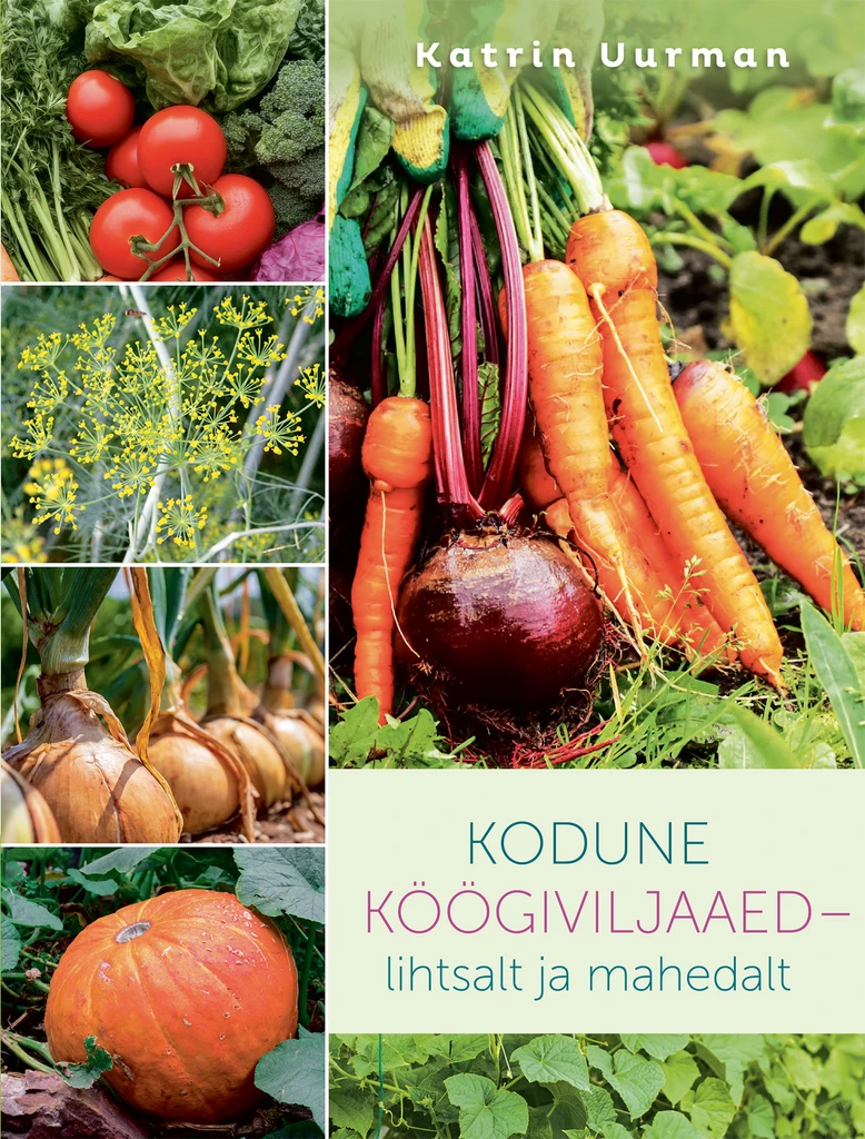 KODUNE KÖÖGIVILJAAED – LIHTSALT JA MAHEDALT