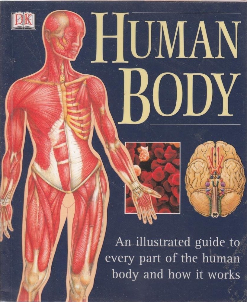 The Human Body Paperback 