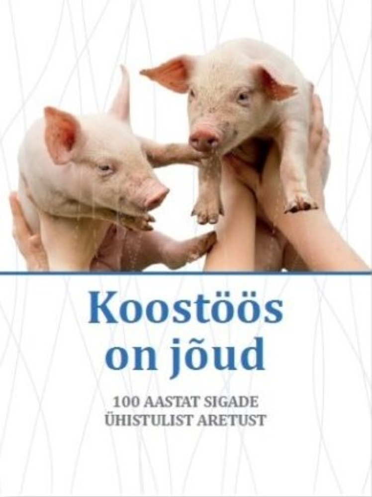 Koostöös on jõud