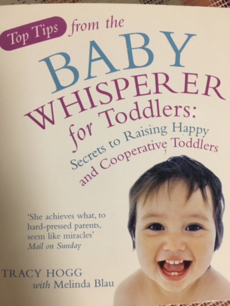 Top Tips from the Baby Whisperer for Toddlers