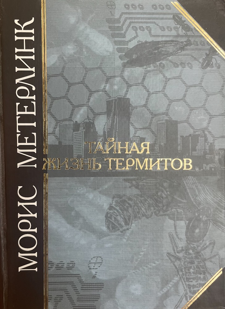 Тайная жизнь термитов
