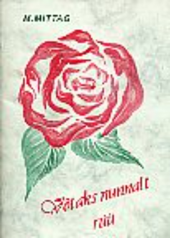 Võtaks nunnalt rüü