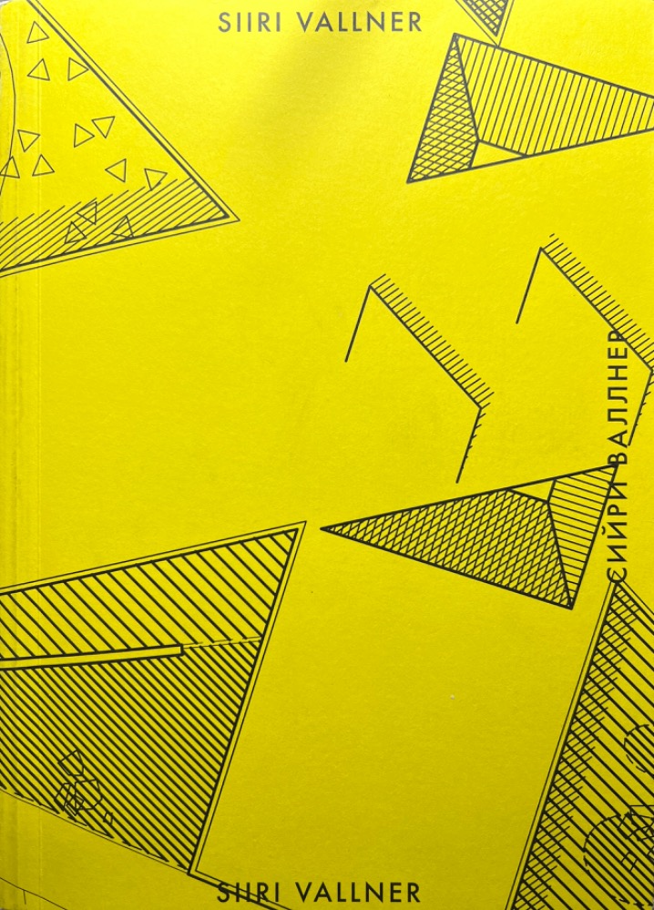 Siiri Vallner : [noore arhitekti preemia 2008]