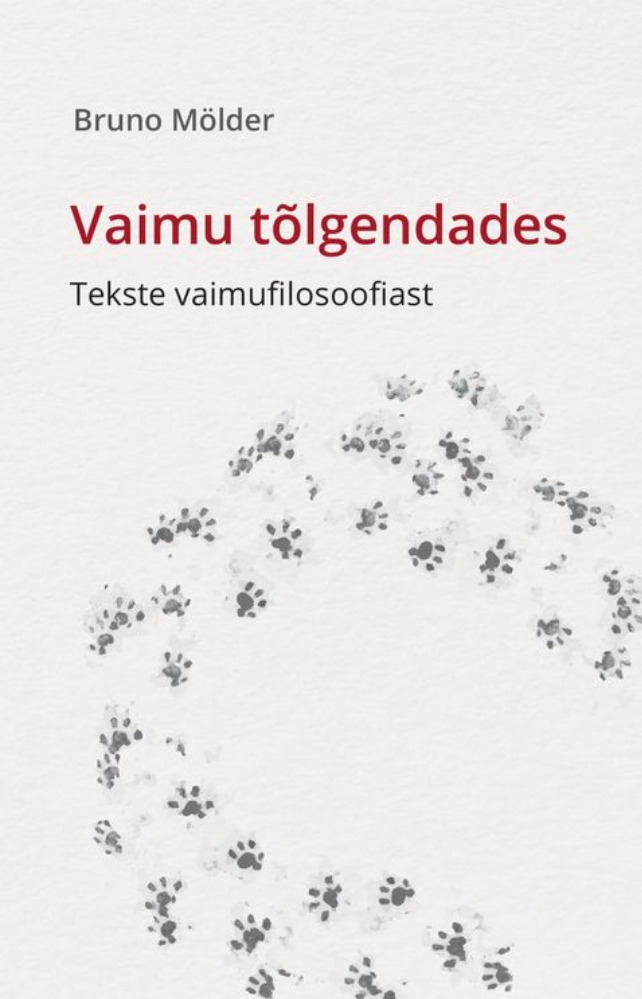 Vaimu tõlgendades. Tekste vaimufilosoofiast