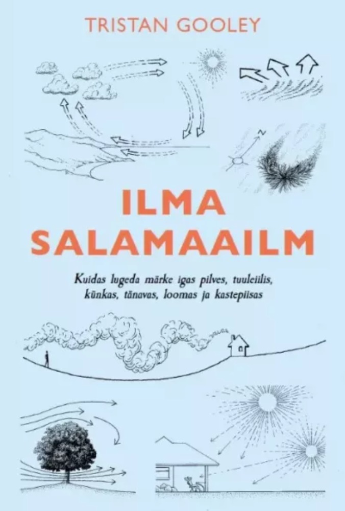 Ilma salamaailm