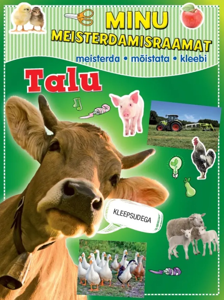 Minu meisterdamisraamat