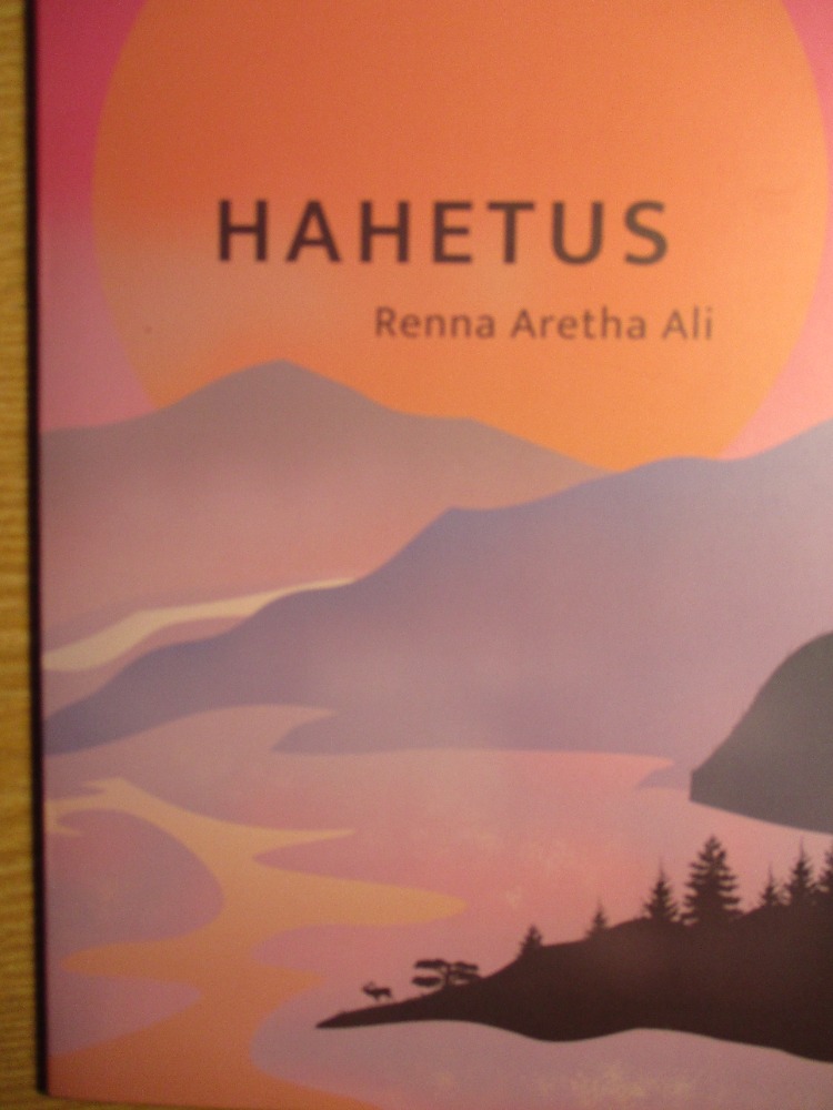 Hahetus